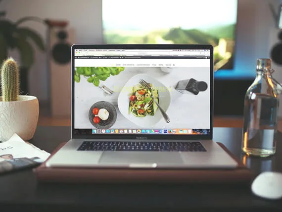 作品集 - 球探